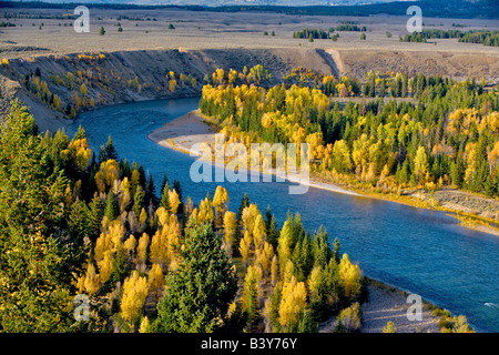 Couleur d'automne et de la rivière Snake et le peuplier tremble Parc National de Grand Teton WY Banque D'Images