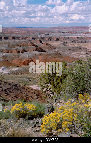 Amérique du Nord, Etats-Unis, l'Arizona, le Parc National de la Forêt Pétrifiée. Painted Desert, vues des Badlands. Banque D'Images