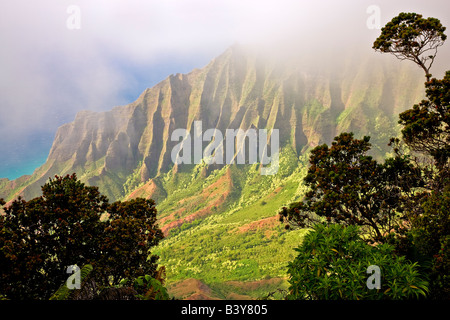 Kalalau Valley avec brouillard Koke e State Park Waimea Canyon Kauai Hawaii Banque D'Images