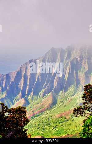 Kalalau Valley avec brouillard Koke e State Park Waimea Canyon Kauai Hawaii Banque D'Images