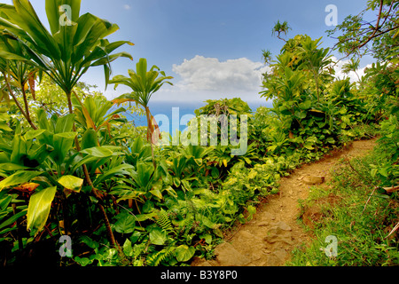 Napali Coast Trail at sunset Kauai Hawaii Banque D'Images