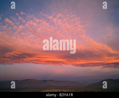 ANZA BORREGO DESERT STATE PARK, Californie. USA. L'Altocumulus Altostratus & nuages lenticulaires à l'aube. Vue depuis le point de la police. Banque D'Images