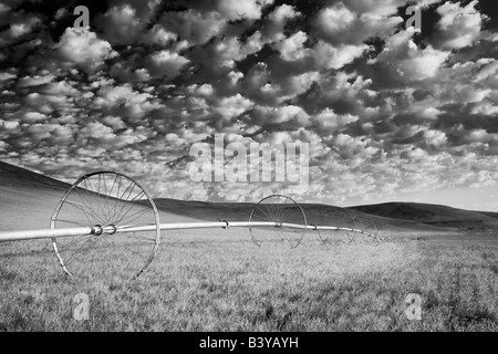Roue d'irrigation en pâturage avec ciel nuageux Wallowa County Oregon Banque D'Images