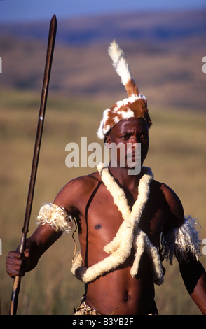 L'Afrique du Sud, Cape Town. Guerrier zoulou en costume traditionnel avec la lance de combat Banque D'Images