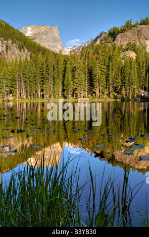 USA, Colorado, Rocky Mountain NP. Reflet de Hallet pic en nymphe Lake. Banque D'Images