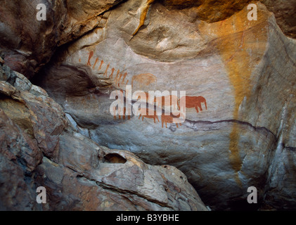 L'Afrique du Sud, Western Cape, Cederberg Wilderness Area. Bushman painting des humains et des éléphants en surplomb grotte Banque D'Images