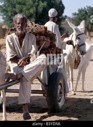 Soudan, Merowe. Un homme nubien assis sur son âne.Remarque la maladie de la peau qu'il a subies sur ses mains et ses jambes. Banque D'Images