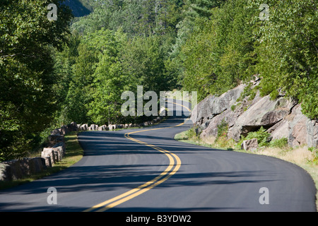 Windy road dans l'Acadia National Park, Maine Banque D'Images