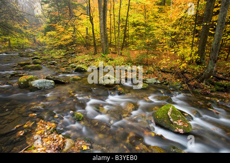 Sanderson Brook. Chester-Blanford State Forest. Affluent de la rivière Connecticut. Chester, Massachusetts. Banque D'Images