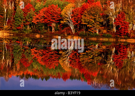 United States, Michigan, Upper Penninsula. Fall color reflected in Thornton Lake. Banque D'Images