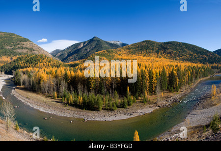 Tablier de la rivière Flathead en automne près de Essex Montana Banque D'Images