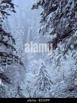 USA (Oregon), Silver Falls State Park. Chutes de neige du nord en hiver. Banque D'Images