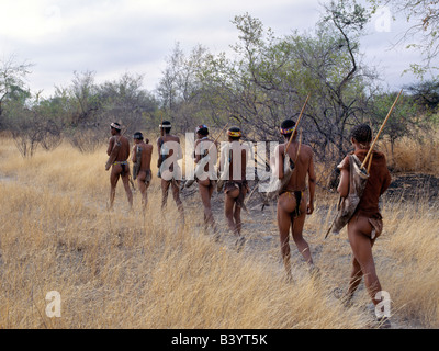 La Namibie, l'Est Bushmanland, Tsumkwe. Une bande de chasseurs-cueilleurs !Kung énoncées à la chasse au petit matin. Les !Kung sont une pa Banque D'Images