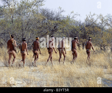 La Namibie, l'Est Bushmanland, Tsumkwe. Une bande de chasseurs-cueilleurs !Kung énoncées à la chasse au petit matin. Les !Kung sont une pa Banque D'Images