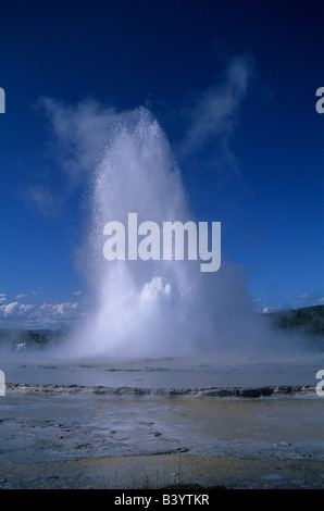 Grande Fontaine Geyser Yellowstone NP en éruption WY USA Banque D'Images