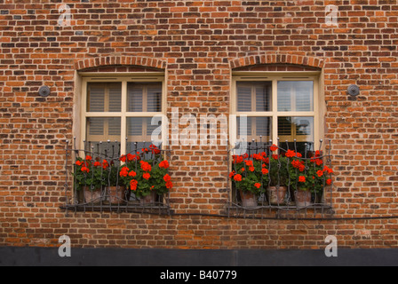 De jolies fleurs en pots assis sur les rebords de fenêtre de charactaristic maison construite de briques rouges Banque D'Images