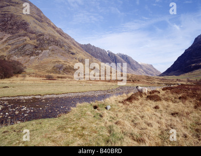 dh River COE Glen Scotland GLENCOE ARGYLL Highlands écossais un mouton automne montagnes Aonach Eagach Chancellor magnifique vallée paysage de montagnes Banque D'Images