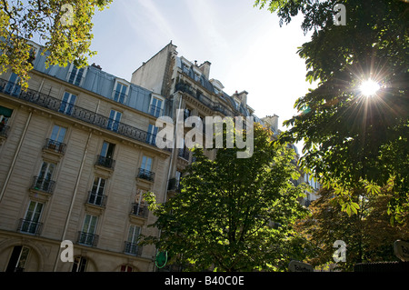 les rayons du soleil traversent les branches d'un arbre Entre les bâtiments du quartier de Montmartre à Paris Banque D'Images