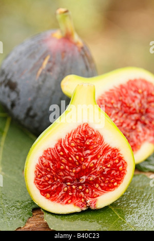 Figues en contexte naturel Banque D'Images