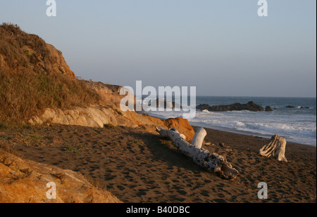 Driftwood on Moonstone Beach. Banque D'Images