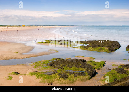 West Sands Beach, St Andrews, Scotland Banque D'Images