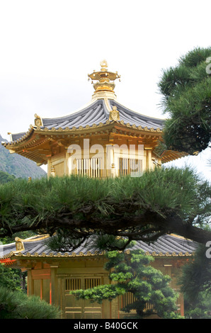 La pagode d'or le pavillon de l'absolue perfection Nan Lian Garden Diamond Hill Hong Kong Banque D'Images