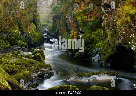 La Fairy Glen, une gorge sur la rivière Conwy nr Betws-Y-coed, Parc National de Snowdonia, le Nord du Pays de Galles, Royaume-Uni Banque D'Images