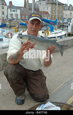 Fisherman holding 6lb mullet pris dans le port de Weymouth, Dorset, England, UK Banque D'Images