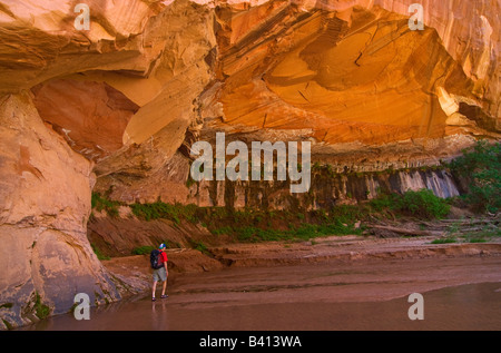 USA, Utah, Escalante désert. A senior male hiker Coyote Gulch. (MR) Banque D'Images
