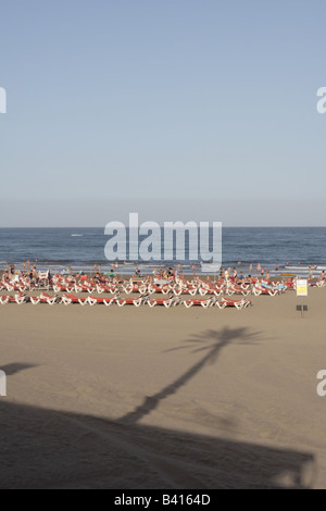 Ombre d'un palmier tombe sur Playa del Ingles tard un jour étés Gran Canaria Îles Canaries Espagne Banque D'Images