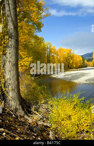 Rivière Methow en automne, Winthrop, Washington, USA Banque D'Images