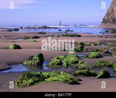 WA, Olympic National Park, Second Beach, flaques & Seastacks Banque D'Images