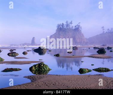 WA, Olympic National Park, Second Beach, flaques et seastacks Banque D'Images