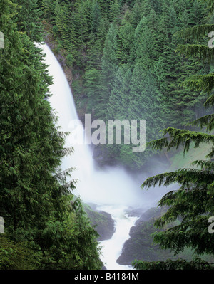 WA, Wallace Falls SP, Wallace Falls, rivière Wallace 250 pieds sur falls Banque D'Images