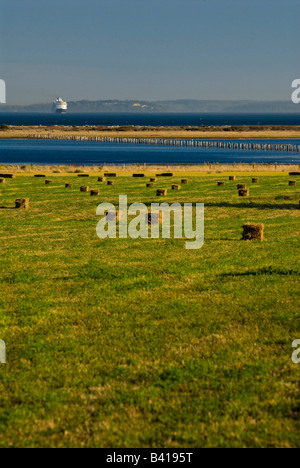 États-unis, WA, Whidbey Island. Bottes de paille, Crockett, le lac de l'Amirauté de bateau de croisière Banque D'Images