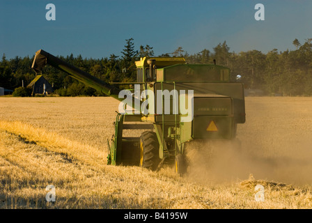 États-unis, WA, l'île de Whidbey, Crockett Prairie. L'agriculture dans la communauté active Ebey's Landing réserve Historique National Banque D'Images