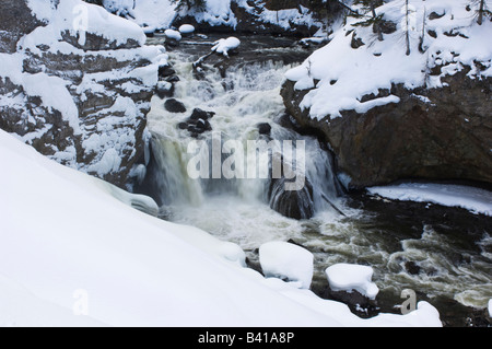 USA, Wyoming, Yellowstone NP, Gibbon Falls Banque D'Images