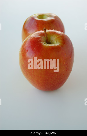 Paire de Honey Crisp pommes cultivées dans le Michigan, USA Banque D'Images