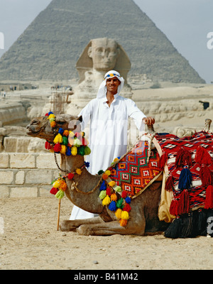 Guide égyptien avec son chameau devant le Sphinx et pyramide, Giza, Le Caire, Egypte Banque D'Images