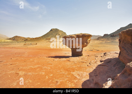 Monument de grès naturellement surgi en champignons Timna park en Israël Banque D'Images