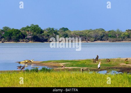 Habitat le long de la rivière Rufiji, lac Manze, Selous, Tanzanie Banque D'Images