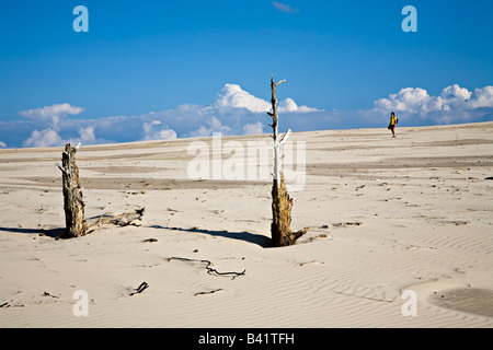 Femme marche dans les dunes avec des arbres morts qui sortent de sable de Wydma Czolpinska Parc national Slowinski dune Pologne Banque D'Images