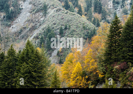 Vue sur la couleur en automne et montagne couverte de givre de Newfound Gap Ridge Road dans le Great Smoky Mountains National Park Banque D'Images