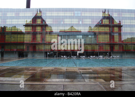 Palais des beaux arts Lille France Banque D'Images