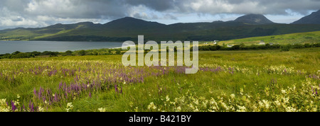 Isle of Jura, vue d'Ardfernal Banque D'Images