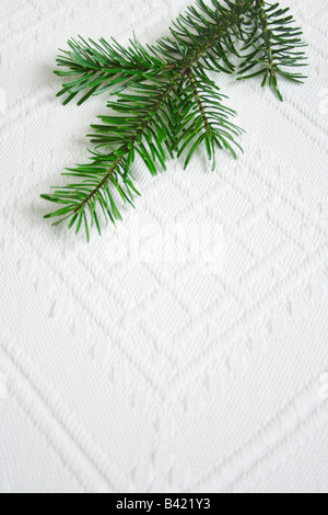 Rameau de sapin sur nappe blanche Banque D'Images