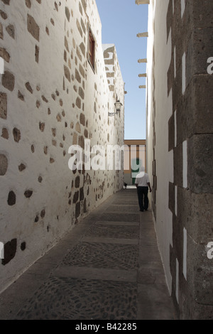 Un homme et un chien marche dans une ruelle étroite entre les anciens bâtiments de Agüimes Gran Canaria Îles Canaries Espagne Banque D'Images