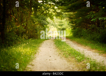 2 voie Country lane à travers bois Banque D'Images