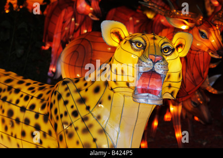 Leopard chez les animaux de la Section Afrique en 2008 Toronto Chinese Lantern Festival mettant en vedette de plaisance de lanternes Zigong Sichuan Chine Banque D'Images