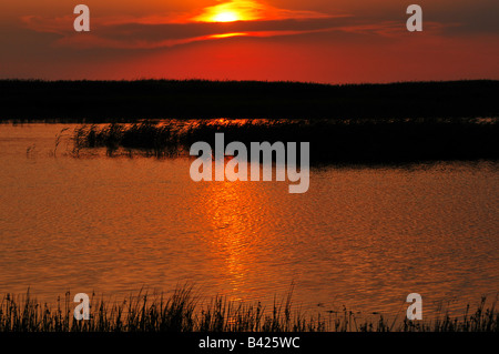 Coucher du soleil à Peshnoe les marais où la rivière Oural se jette dans la mer Caspienne, près de Almaty au Kazakhstan occidental Banque D'Images